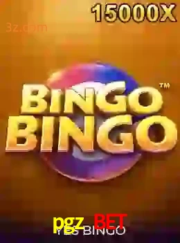bingobingo